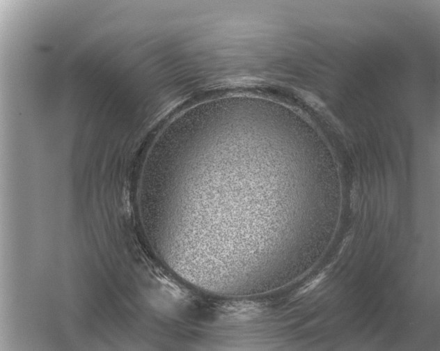 X0000058121209200509301918