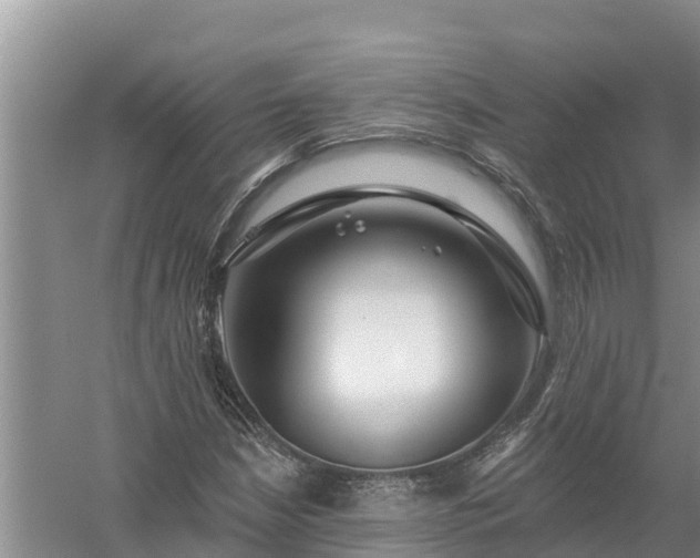 X0000058121210200509301918