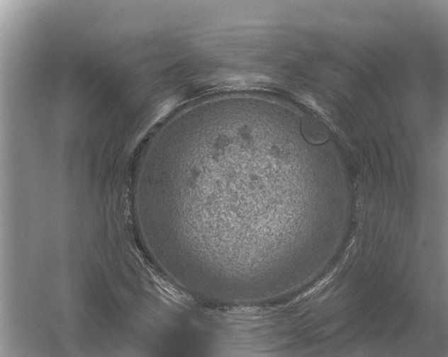 X0000058121211200509301918