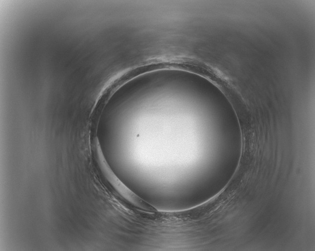 X0000058121214200509301918