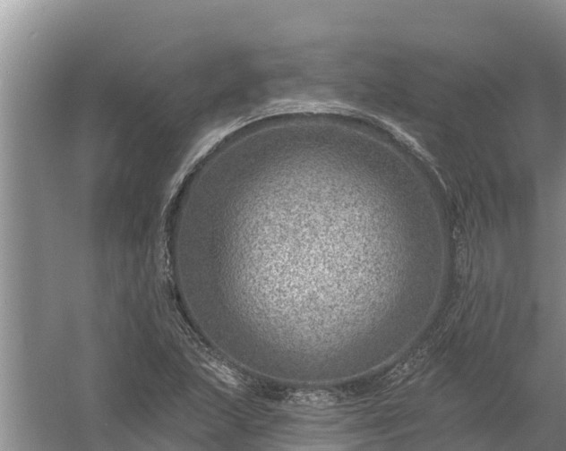 X0000058121215200509301918