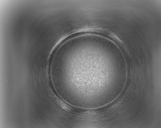 X0000058121216200509301918