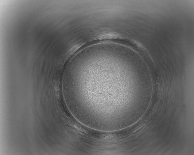 X0000058121217200509301918