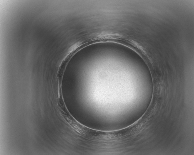 X0000058121219200509301918