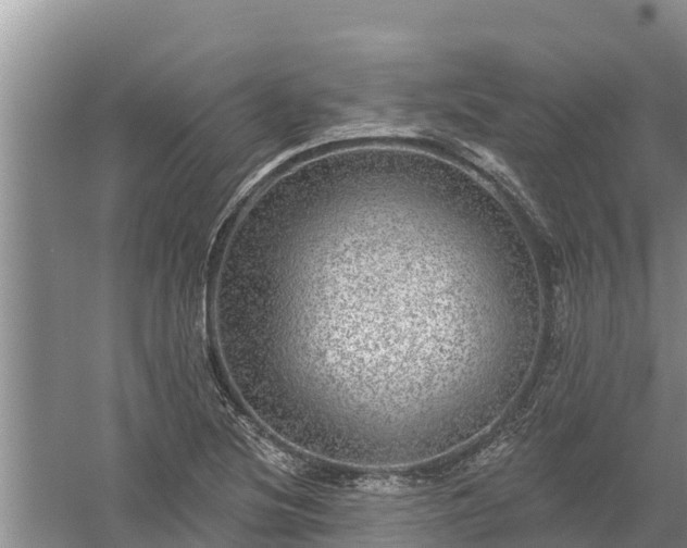 X0000058121220200509301918