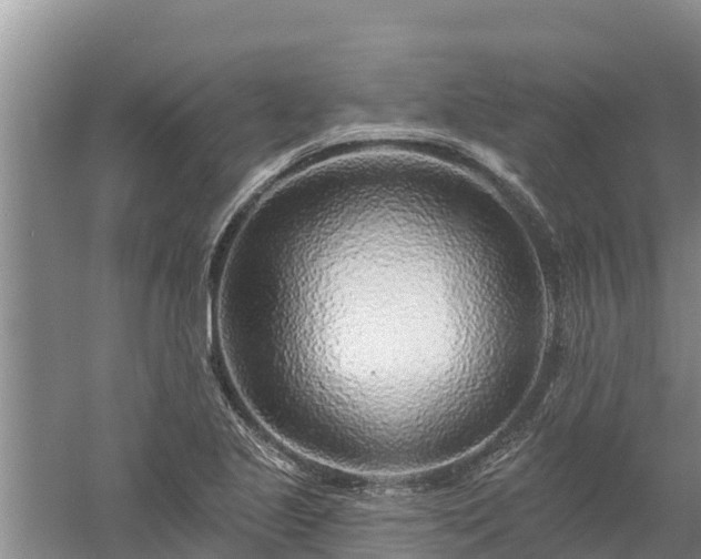 X0000058121221200509301918