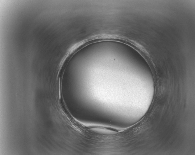 X0000058121223200509301918