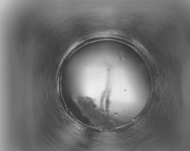 X0000058121224200509301918