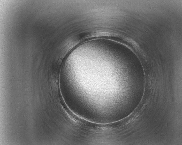 X0000058121225200509301918