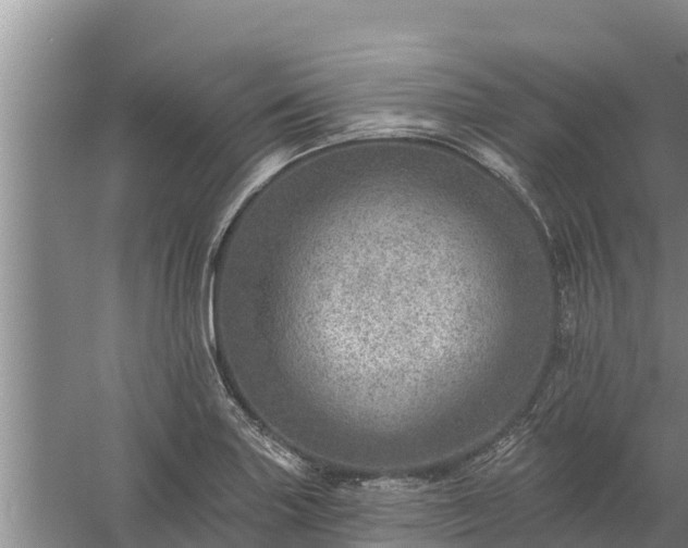 X0000058121227200509301918