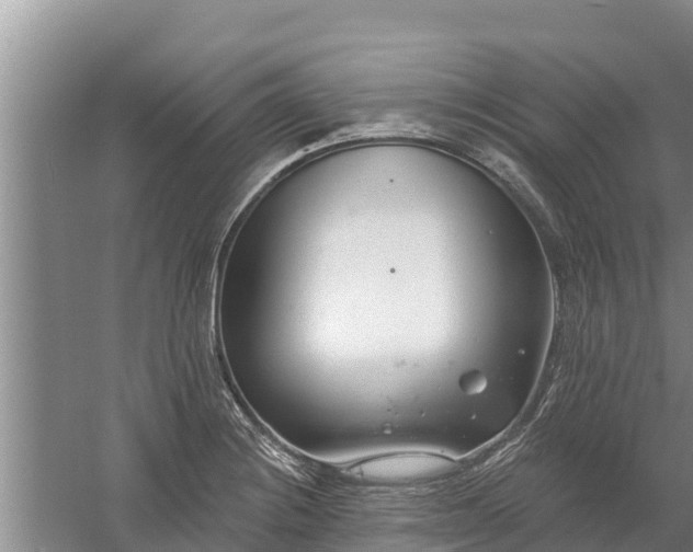 X0000058121228200509301918