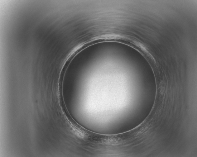 X0000058121229200509301918