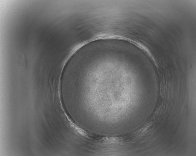 X0000058121231200509301918