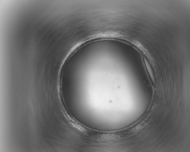 X0000058121232200509301918