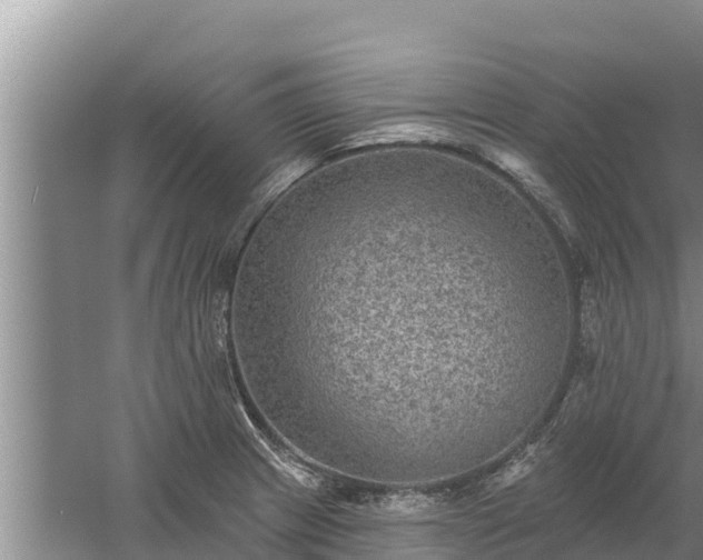 X0000058121233200509301918