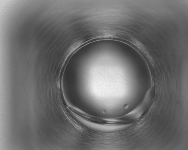 X0000058121234200509301918