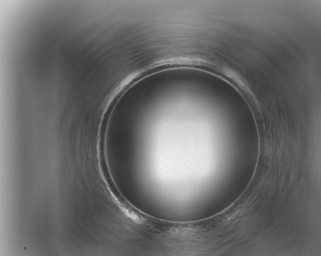 X0000058121237200509301918