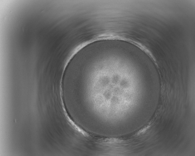 X0000058121239200509301918