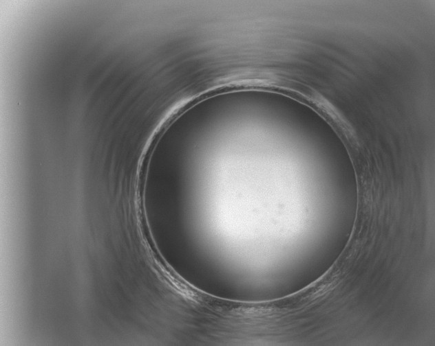 X0000058121240200509301918