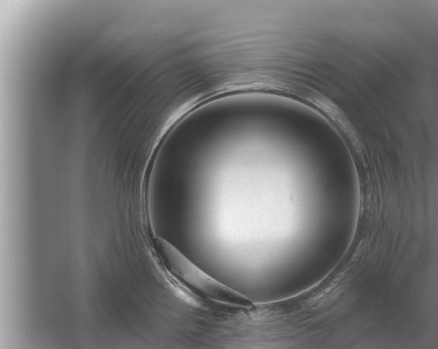 X0000058121242200509301918