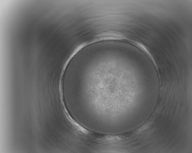 X0000058121243200509301918