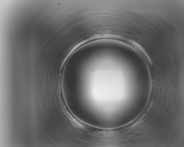 X0000058121244200509301918