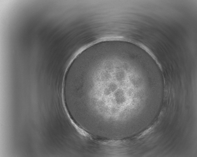 X0000058121245200509301918