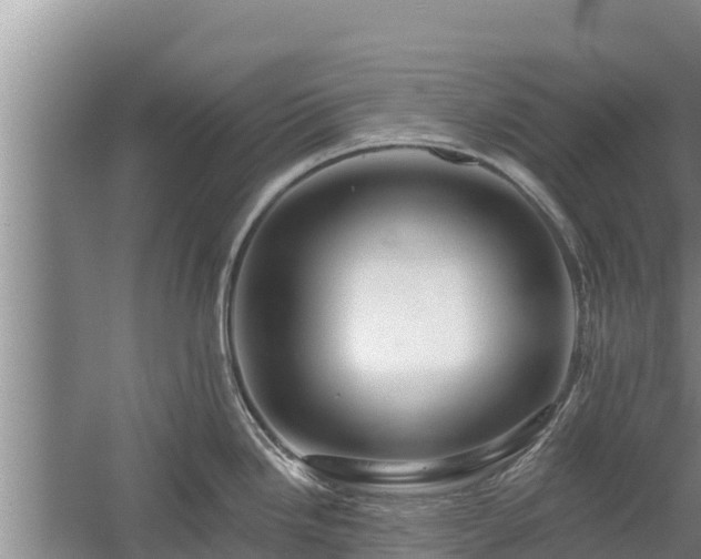 X0000058121246200509301918