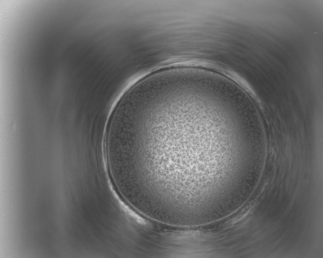 X0000058121247200509301918