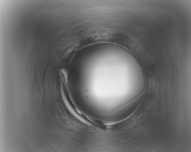 X0000058121250200509301918