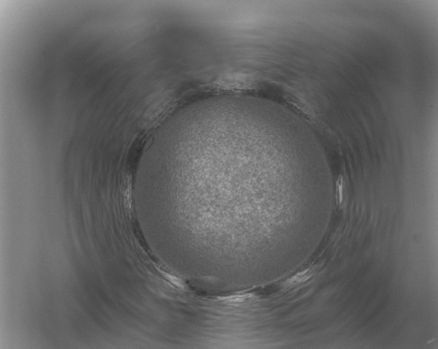 X0000058121251200509301918