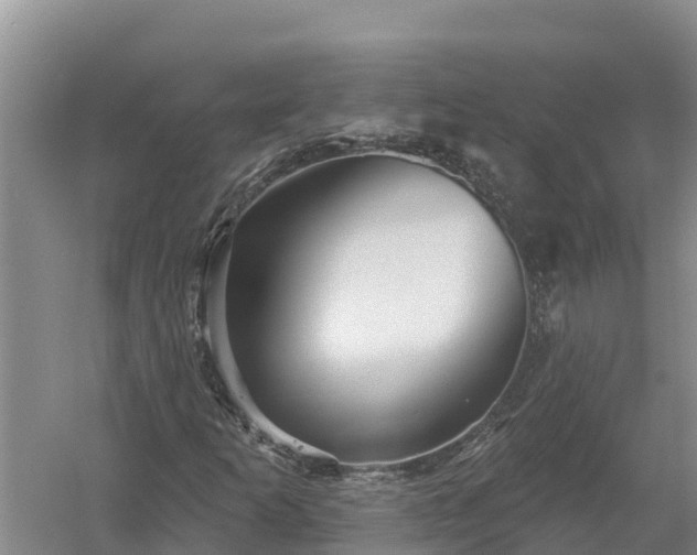 X0000058121253200509301917