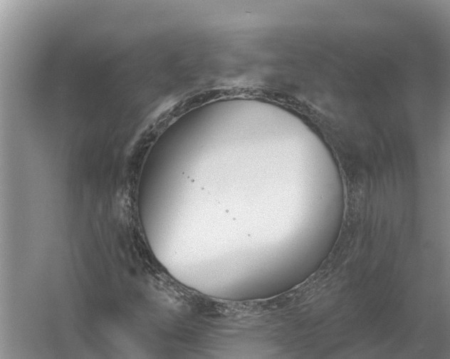 X0000058121254200509301917