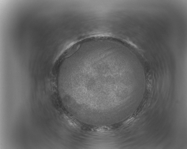 X0000058121255200509301917