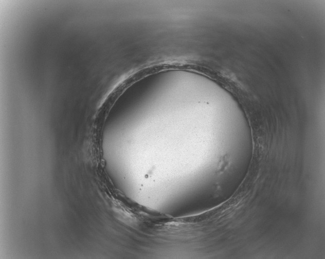 X0000058121256200509301917