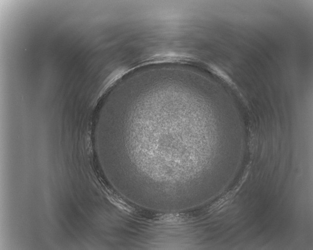 X0000058121259200509301917