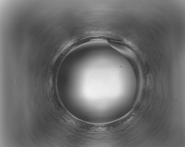 X0000058121261200509301917