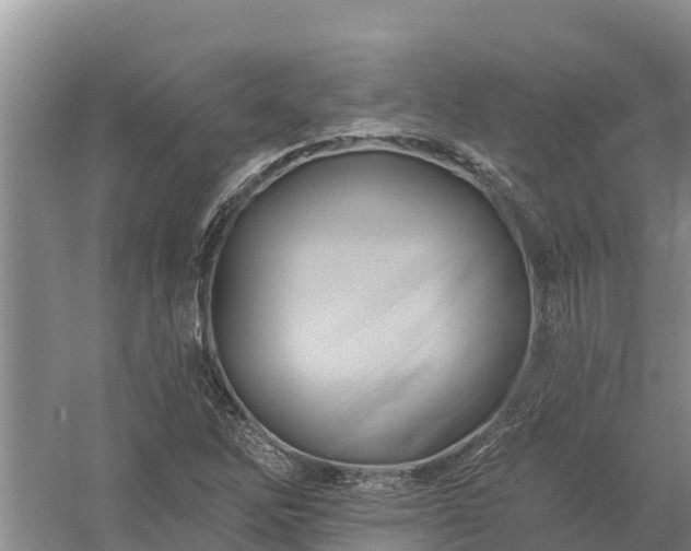 X0000058121262200509301917