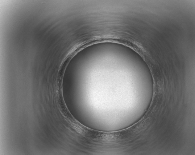 X0000058121266200509301917