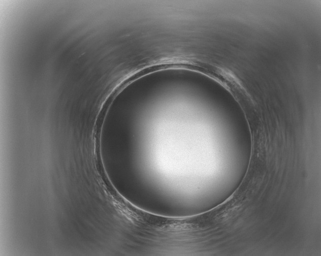 X0000058121268200509301917