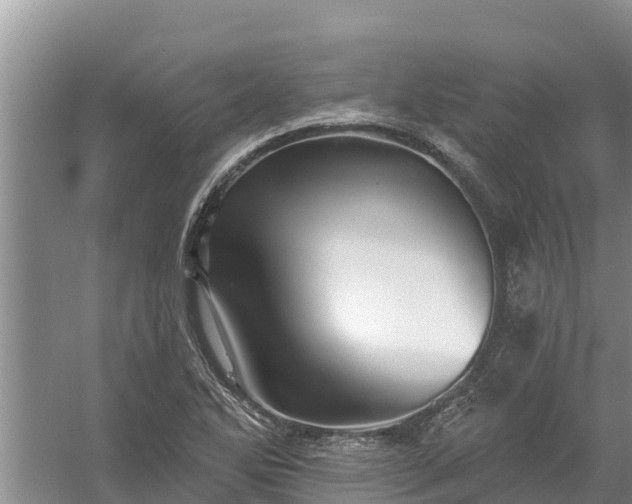 X0000058121270200509301917