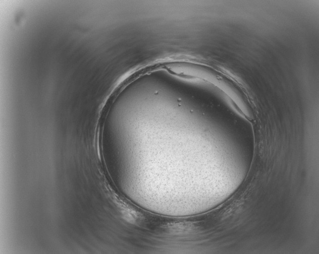 X0000058121272200509301917