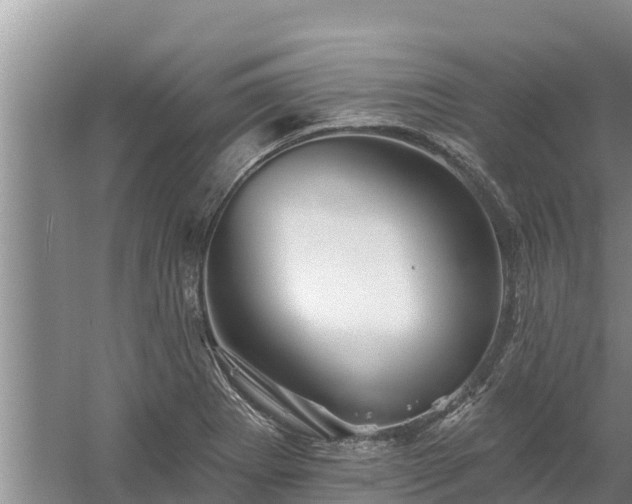 X0000058121273200509301917