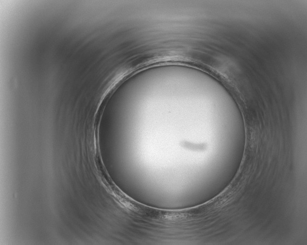 X0000058121274200509301917