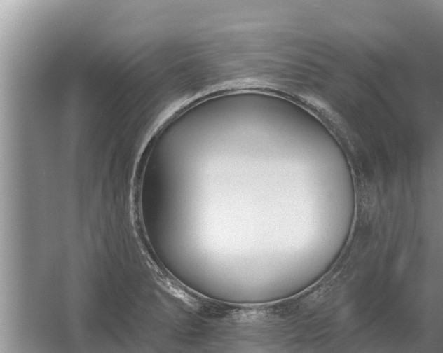 X0000058121278200509301917