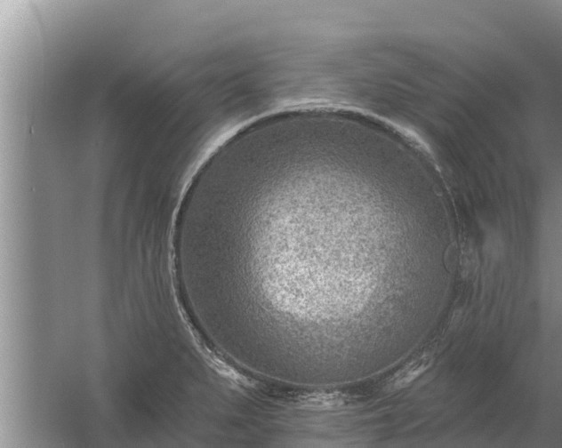 X0000058121279200509301917