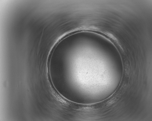 X0000058121280200509301917