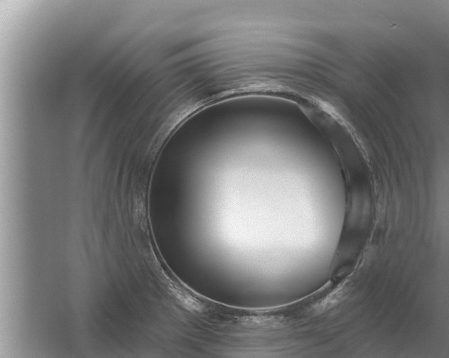 X0000058121281200509301917