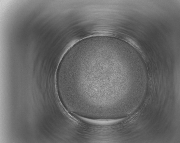 X0000058121283200509301917