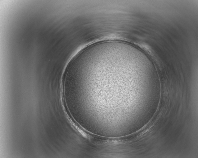 X0000058121286200509301917